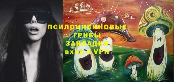 хмурый Медногорск