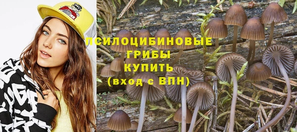синтетический гашиш Медвежьегорск